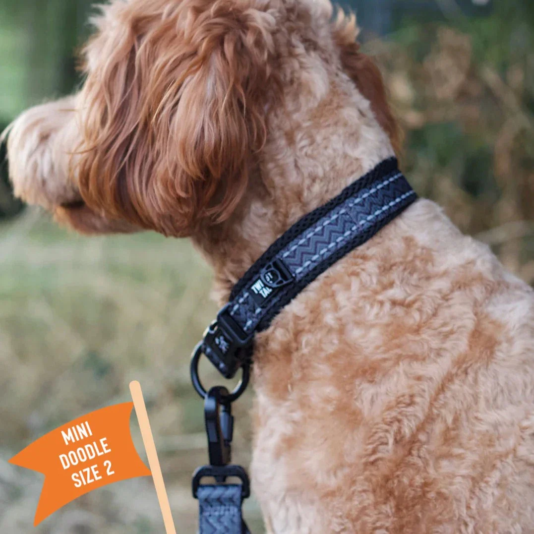 Twiggy Tags Adventure Collar in Petrichor - Image 3