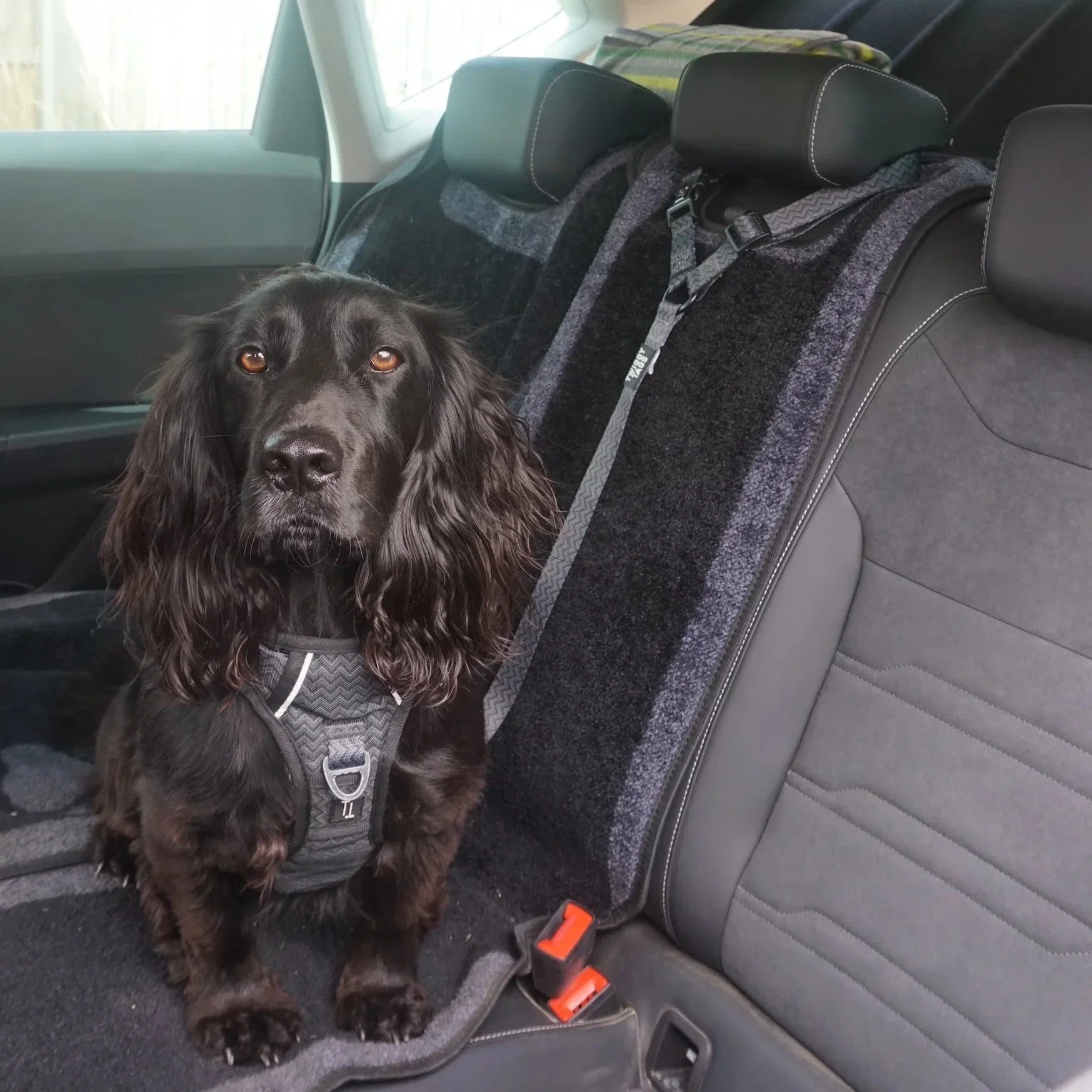 Twiggy Tags Adventure Seatbelt - Image 4