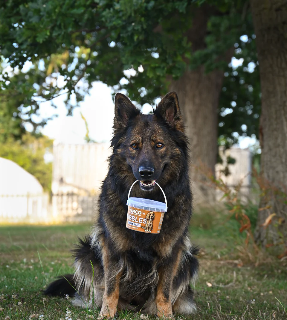Anco Nibbles Training Treats - Image 2