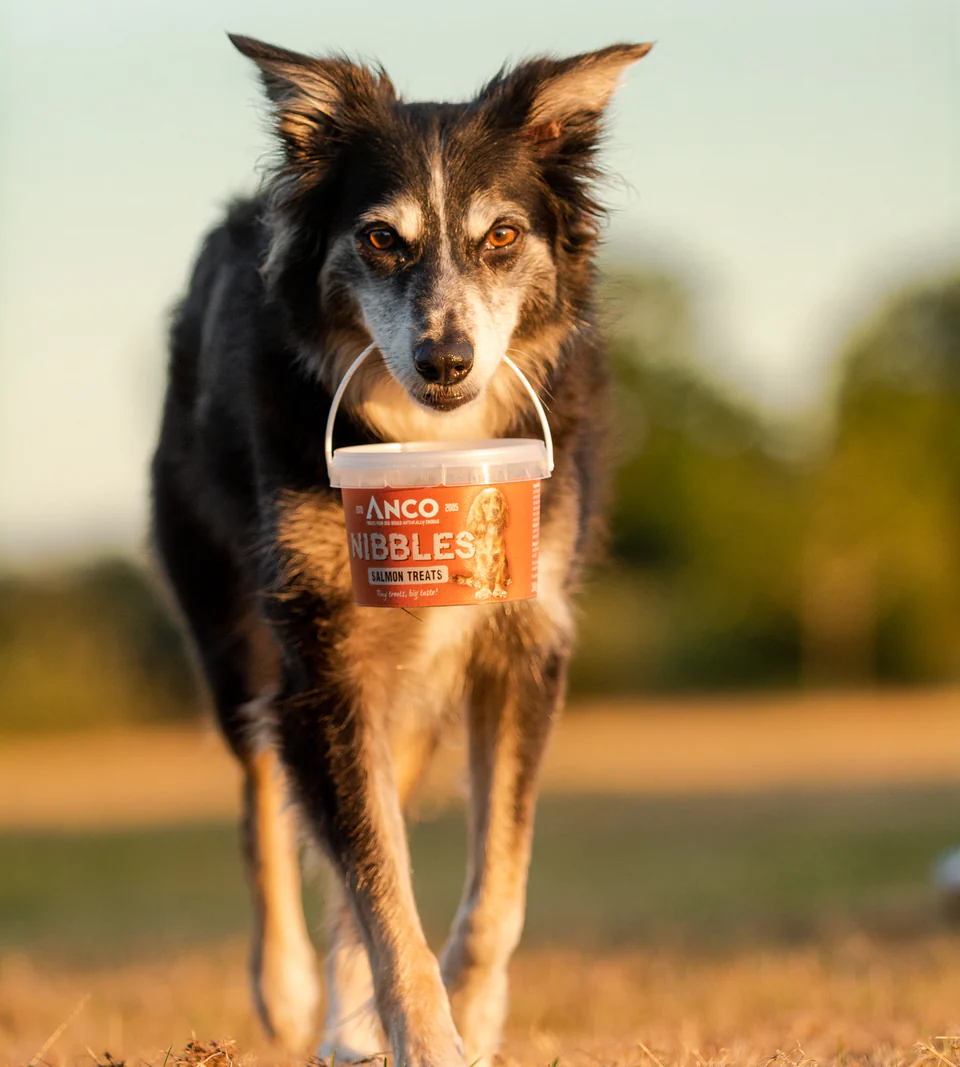 Anco Nibbles Training Treats - Image 4