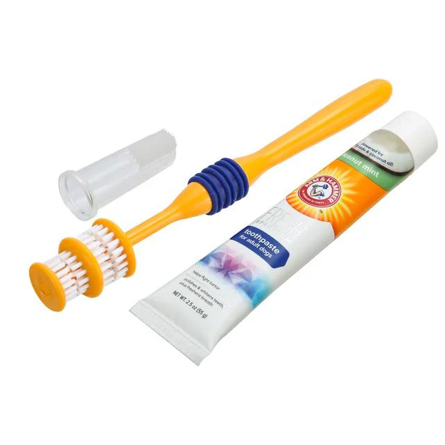 Arm & Hammer Adult Dog Toothbrush - Image 4