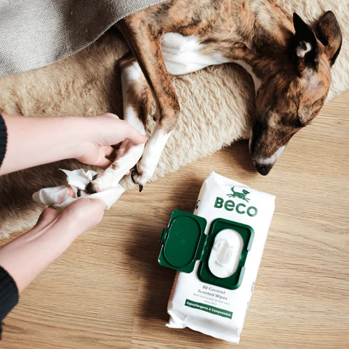Beco Bamboo Dog Wipes - Image 5