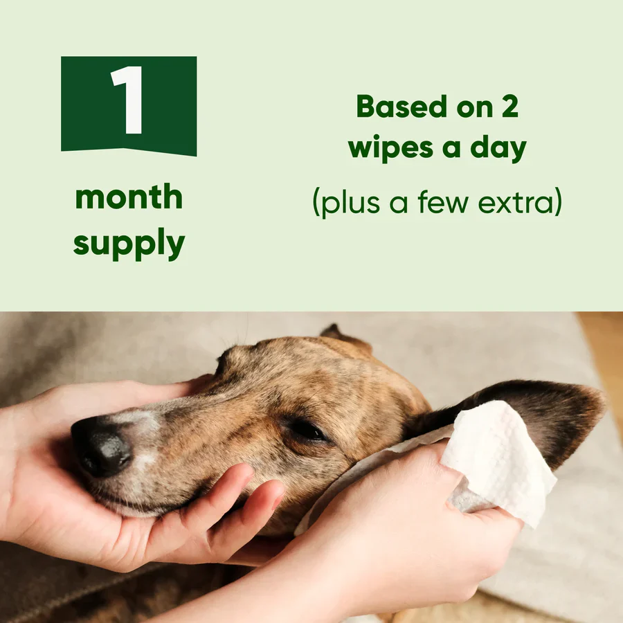 Beco Coconut Scented Ear Wipes - Image 3