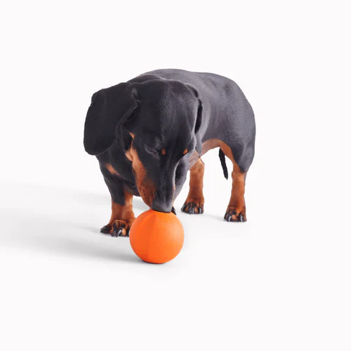 Beco Fetch Ball - Image 2