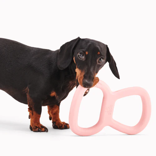 Beco Natural Rubber Tough Tugger - Image 2