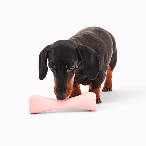 Beco Natural Rubber Treat Bone - Image 2