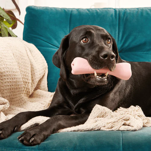 Beco Natural Rubber Treat Bone - Image 3