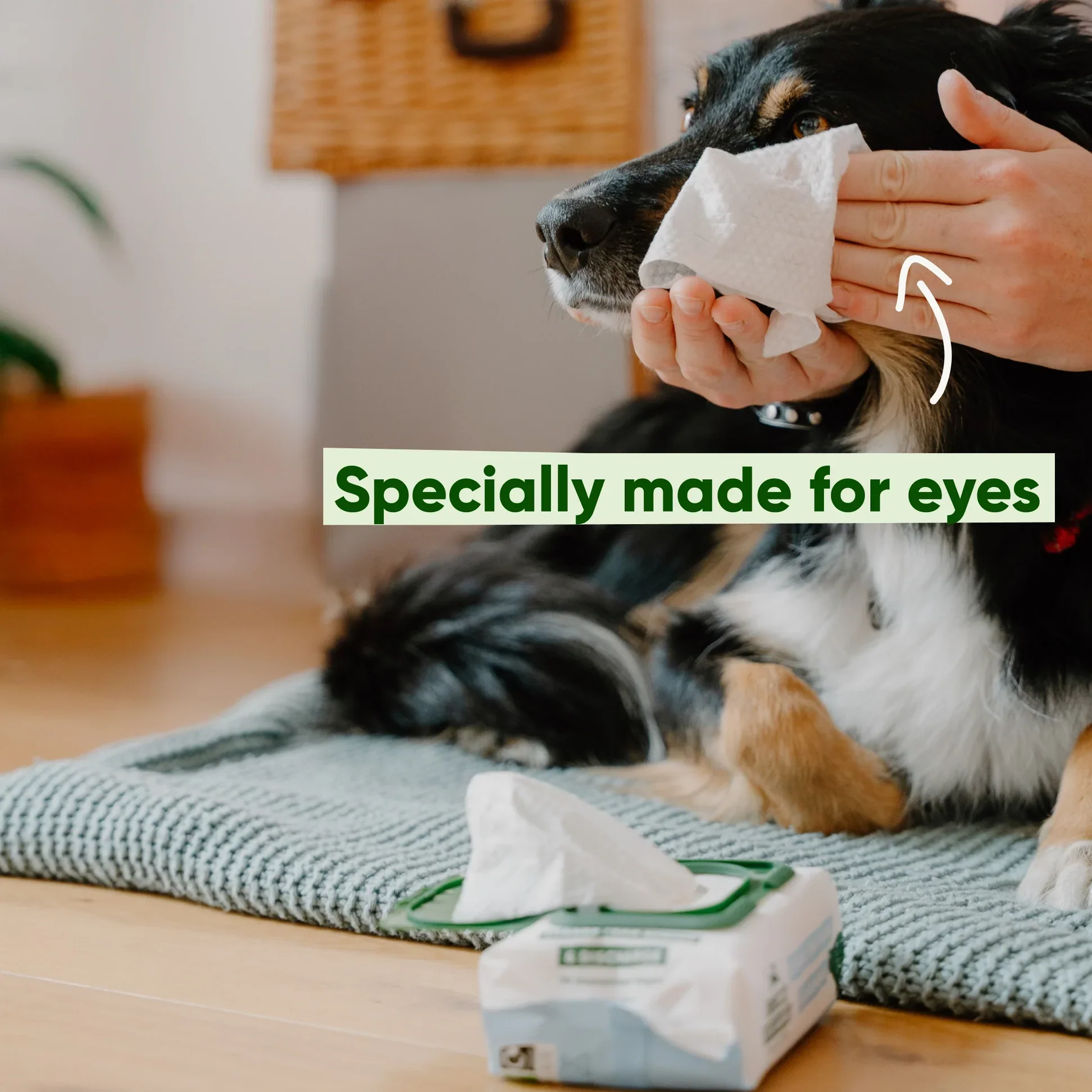 Beco Unscented Eye Wipes - Image 5