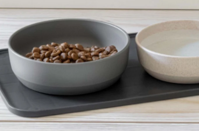 Bevel Wheat Dog Bowl - Image 3