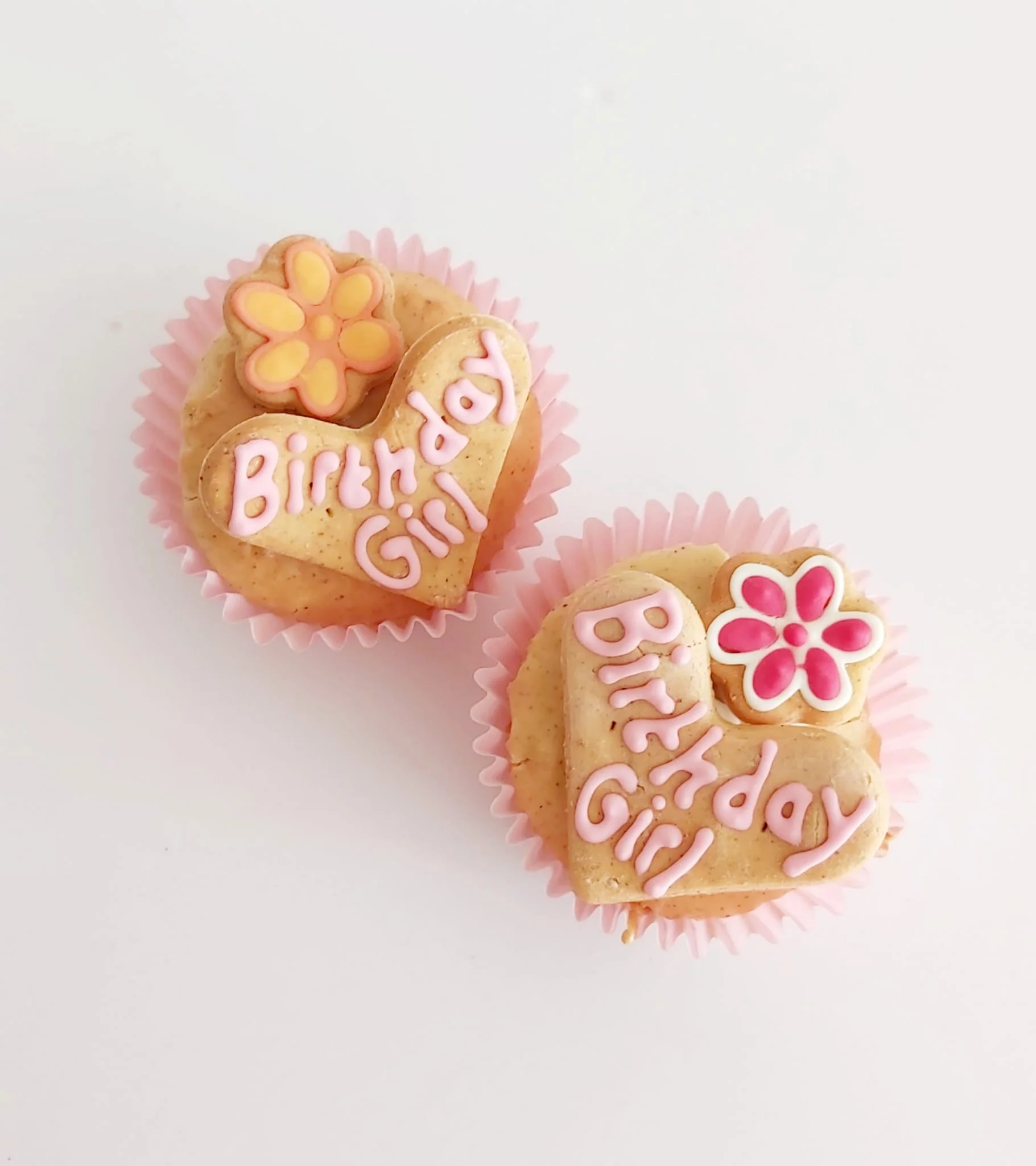 Birthday Boy or Girl Cupcake for Dogs - Image 8