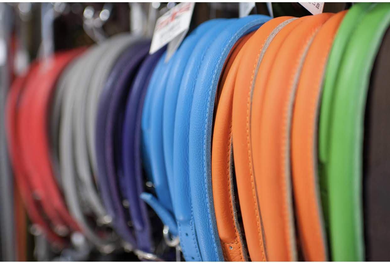 D&H Blue Rolled Leather Dog Collar - Image 3