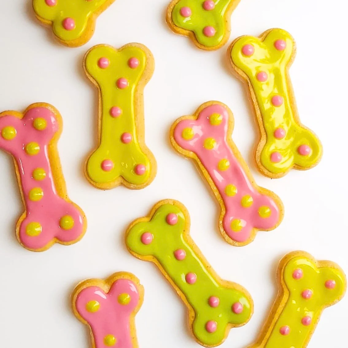 Iced Bone Biscuits for Dogs - Image 4