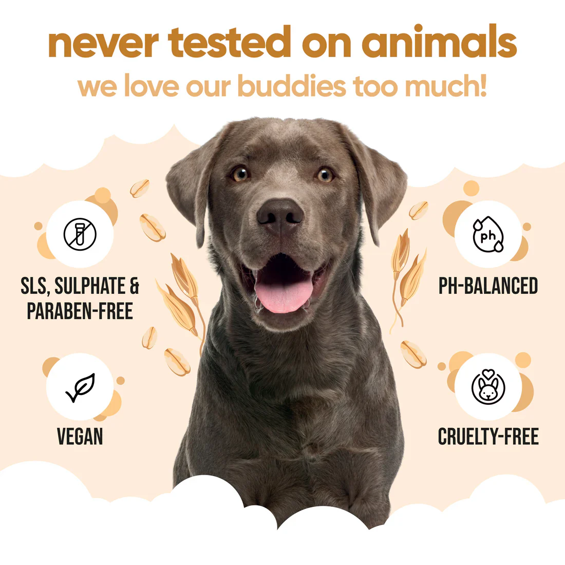 Buddycare Oatmeal Dog Shampoo - Image 6