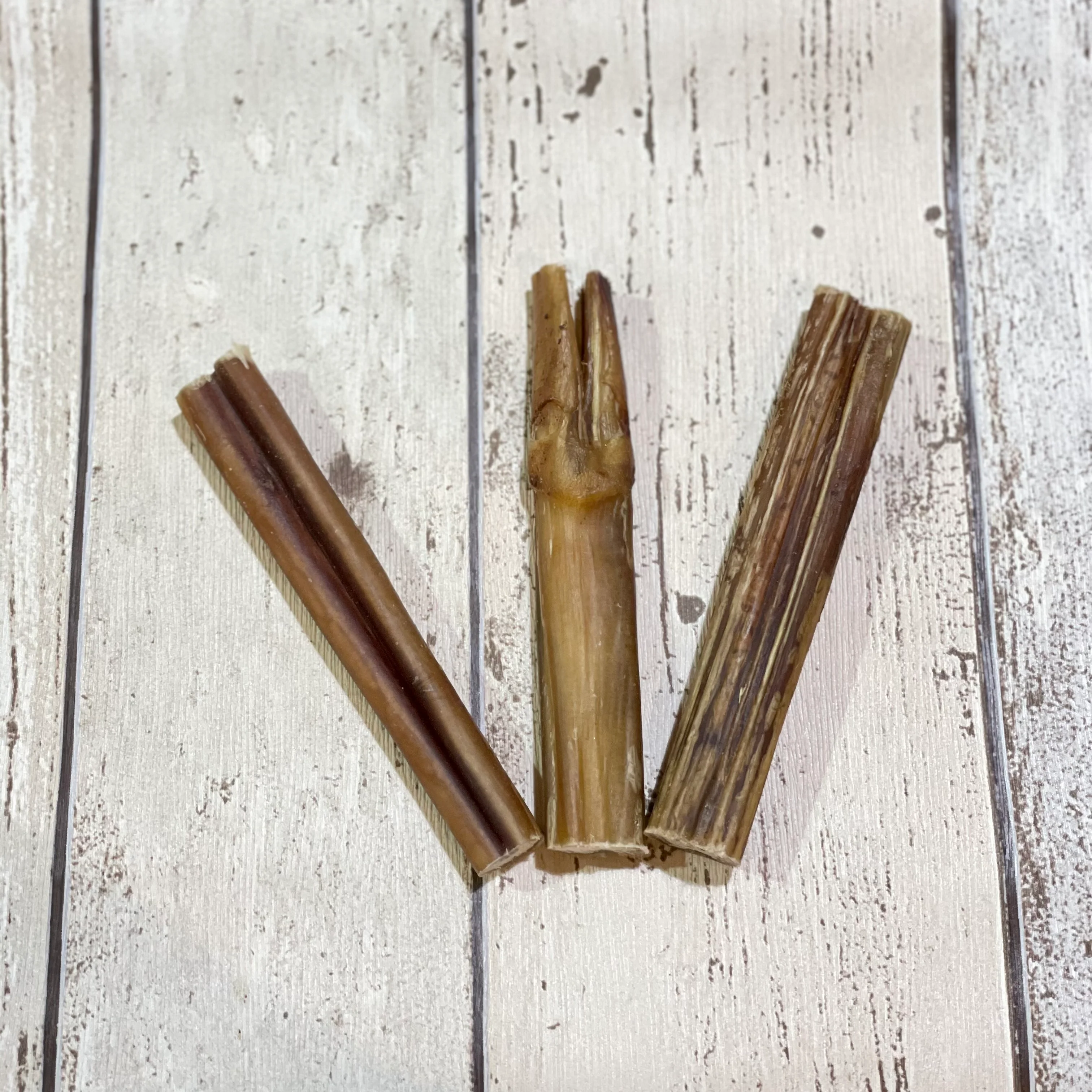 Bull’s Pizzle Natural Dog Treat - Image 3