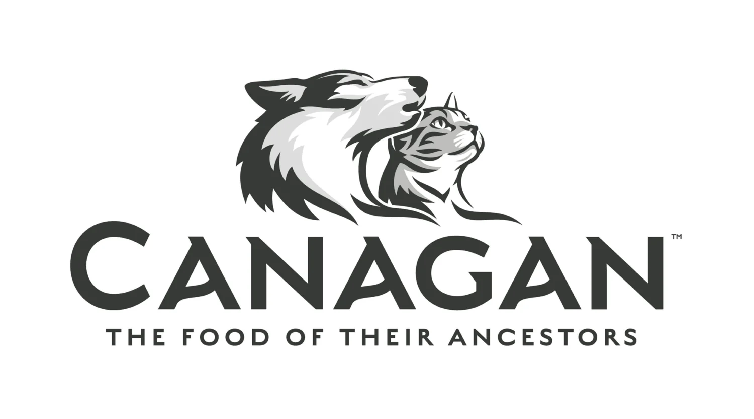 Canagan Free-Run Chicken Dry Food For Cats - Image 4