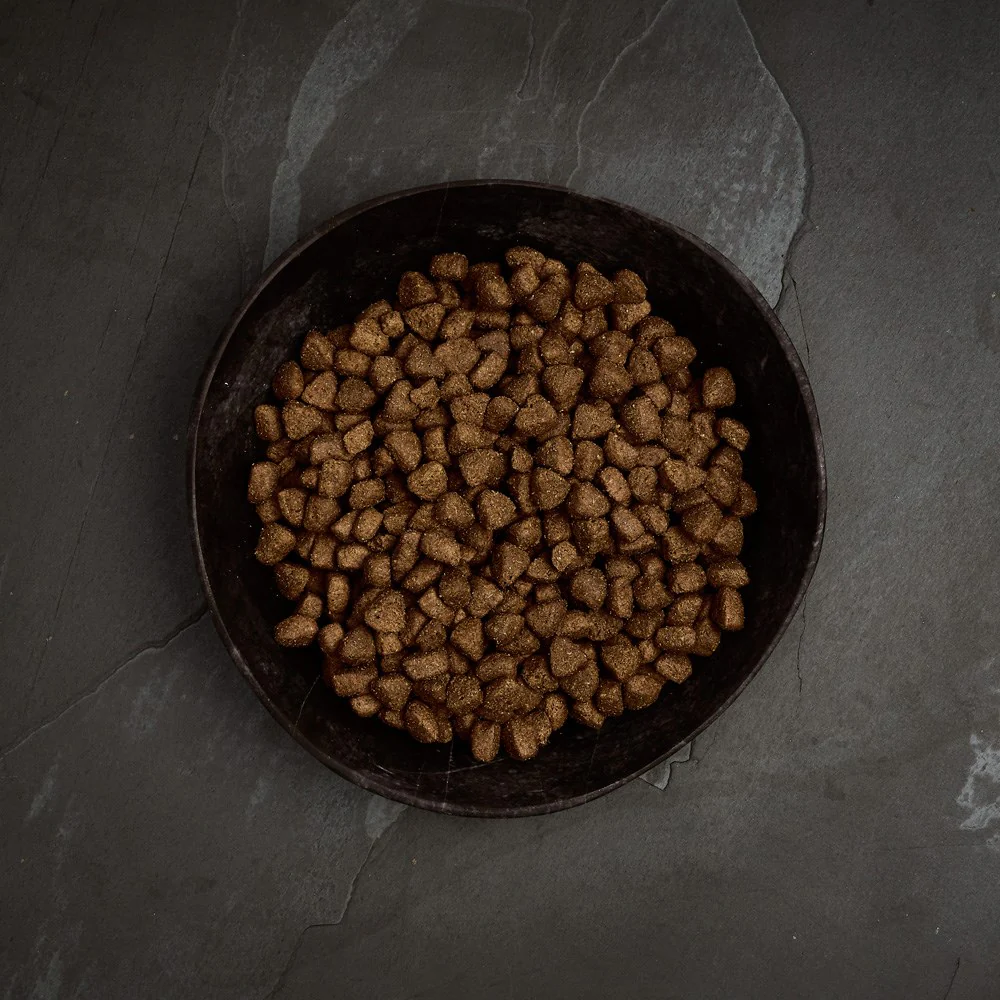 Canagan Free-Run Chicken For Dogs - Image 3