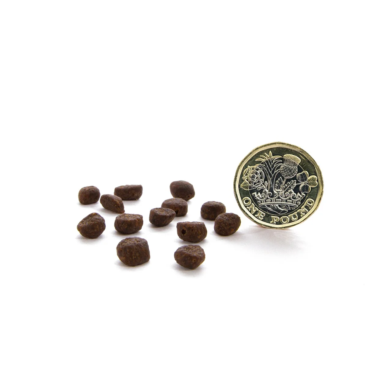 Canagan Scottish Salmon Dry Food For Cats - Image 3