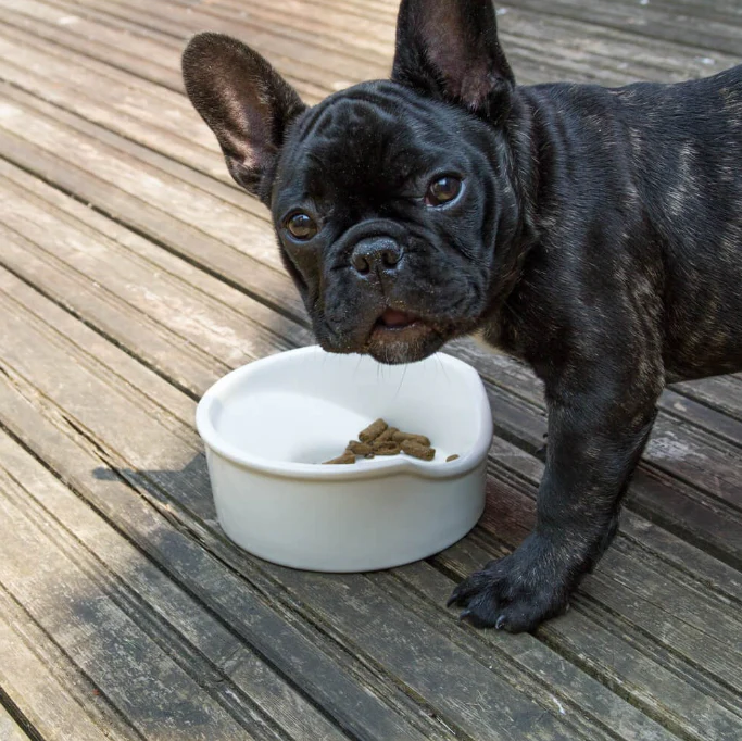 Great&Small Ceramic Flat Nosed Dog Bowl - Image 3