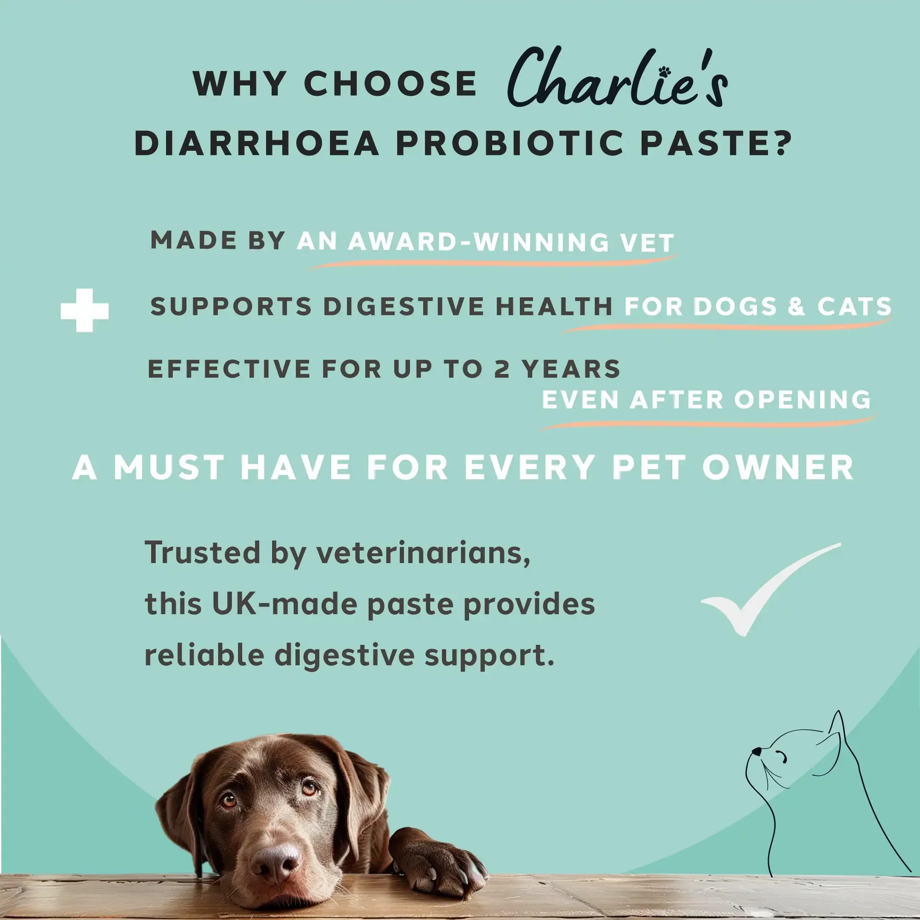 Charlie The Vet Diarrhoea Care Probiotic Paste - Image 5