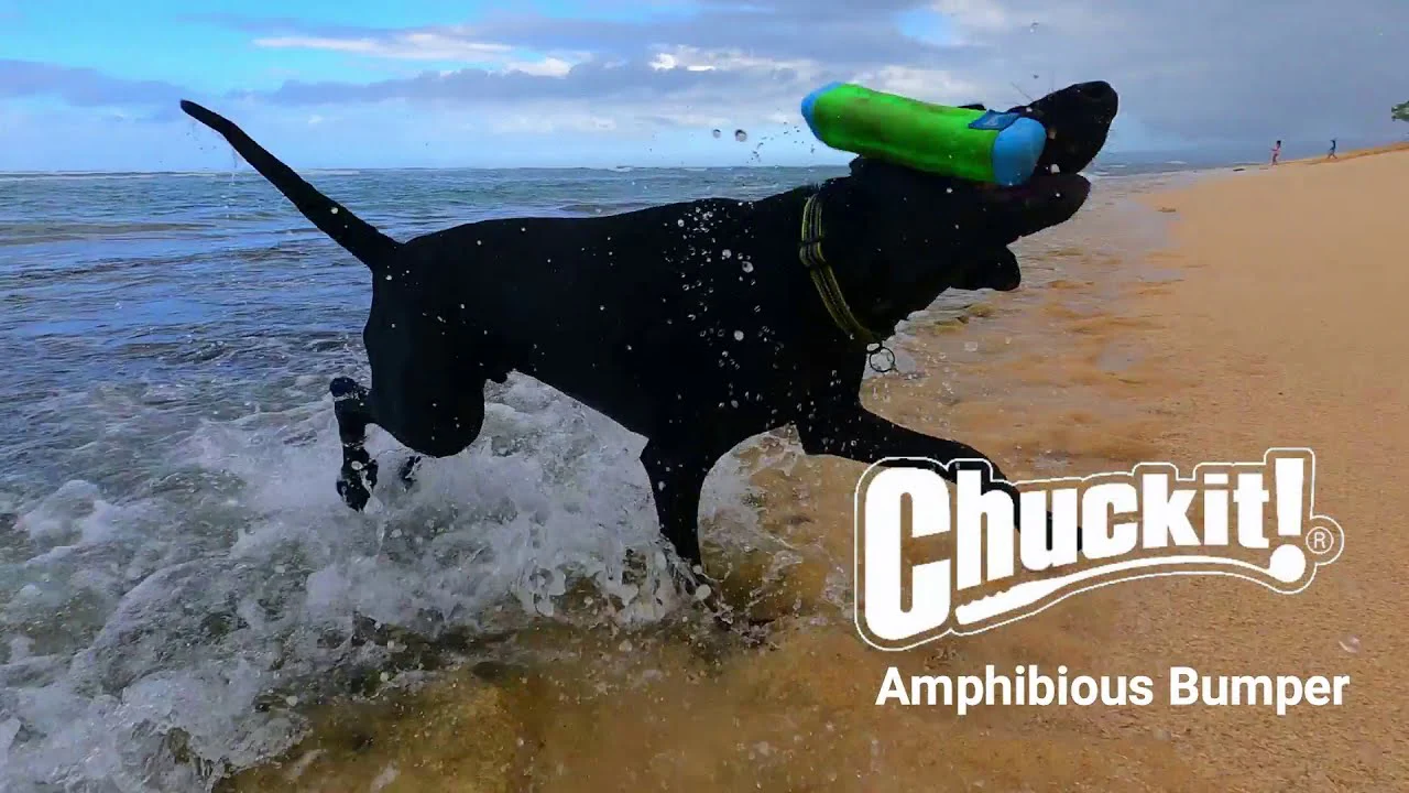 Chuckit Amphibious Bumper - Image 3