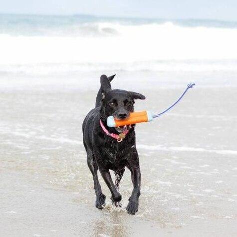 Chuckit Amphibious Bumper - Image 4