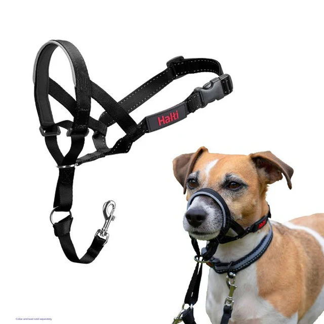 CoA Halti Headcollar - Image 3