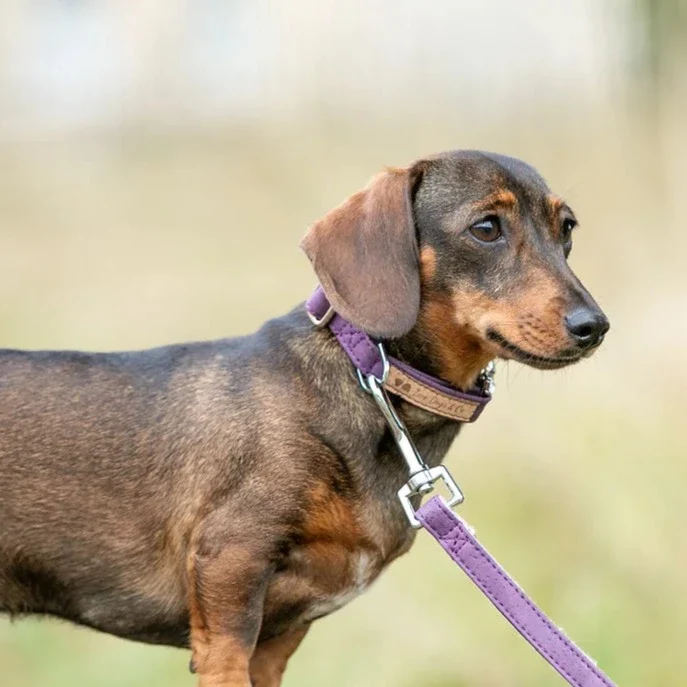 Handmade Cork Eco Dog Leads - Image 2