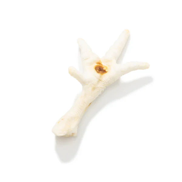 Create Your Own Natural Selection Pack - Image 21
