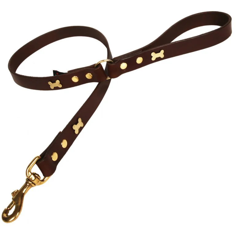 Creatures Clothes Brown Bone Leather Lead - Image 3