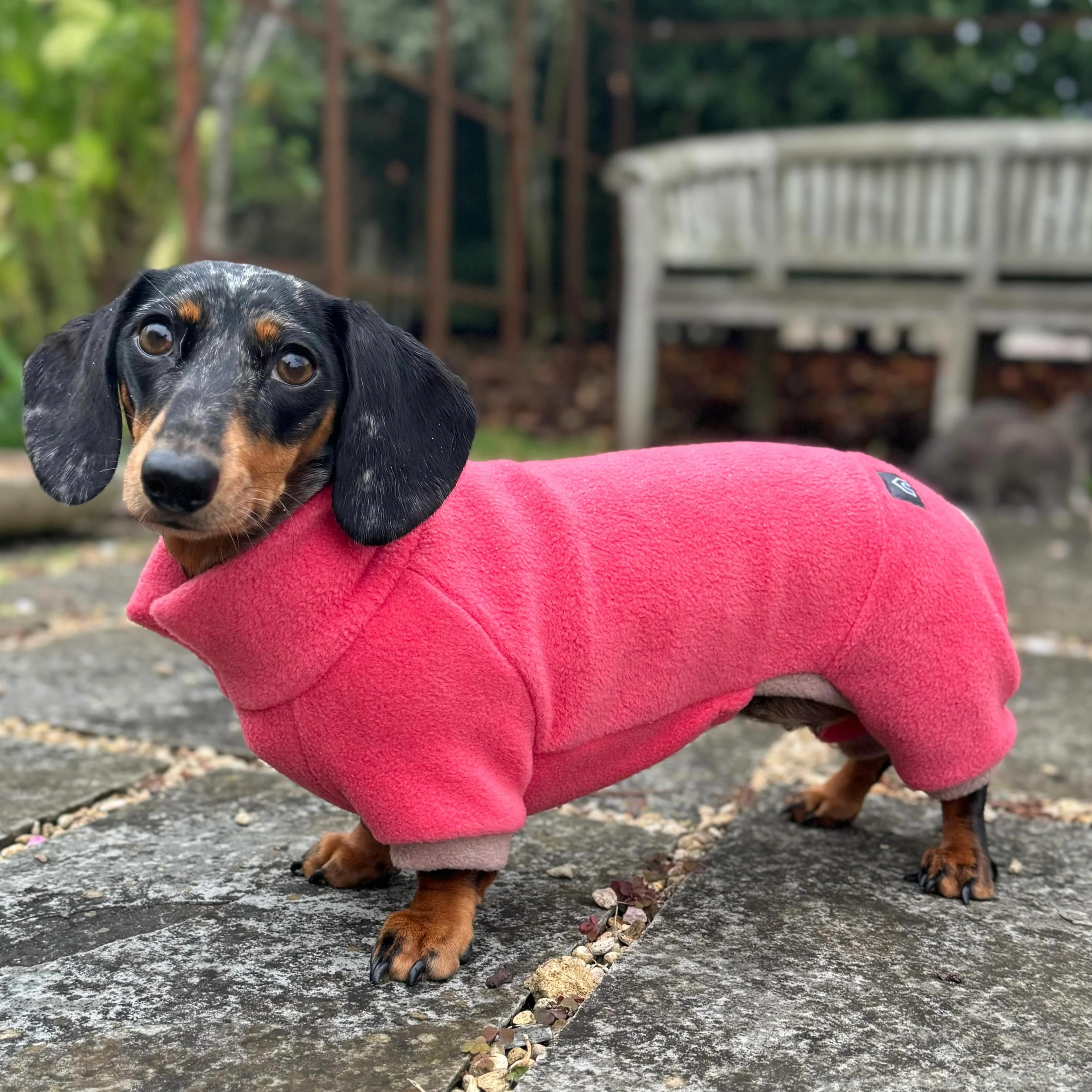 Dachshund Fleece Winter Suits with 4 Legs - Image 2