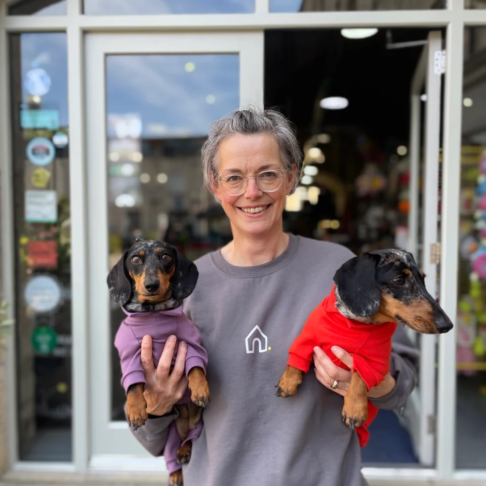 Dachshund Summer Suits with 4 Legs - Image 6
