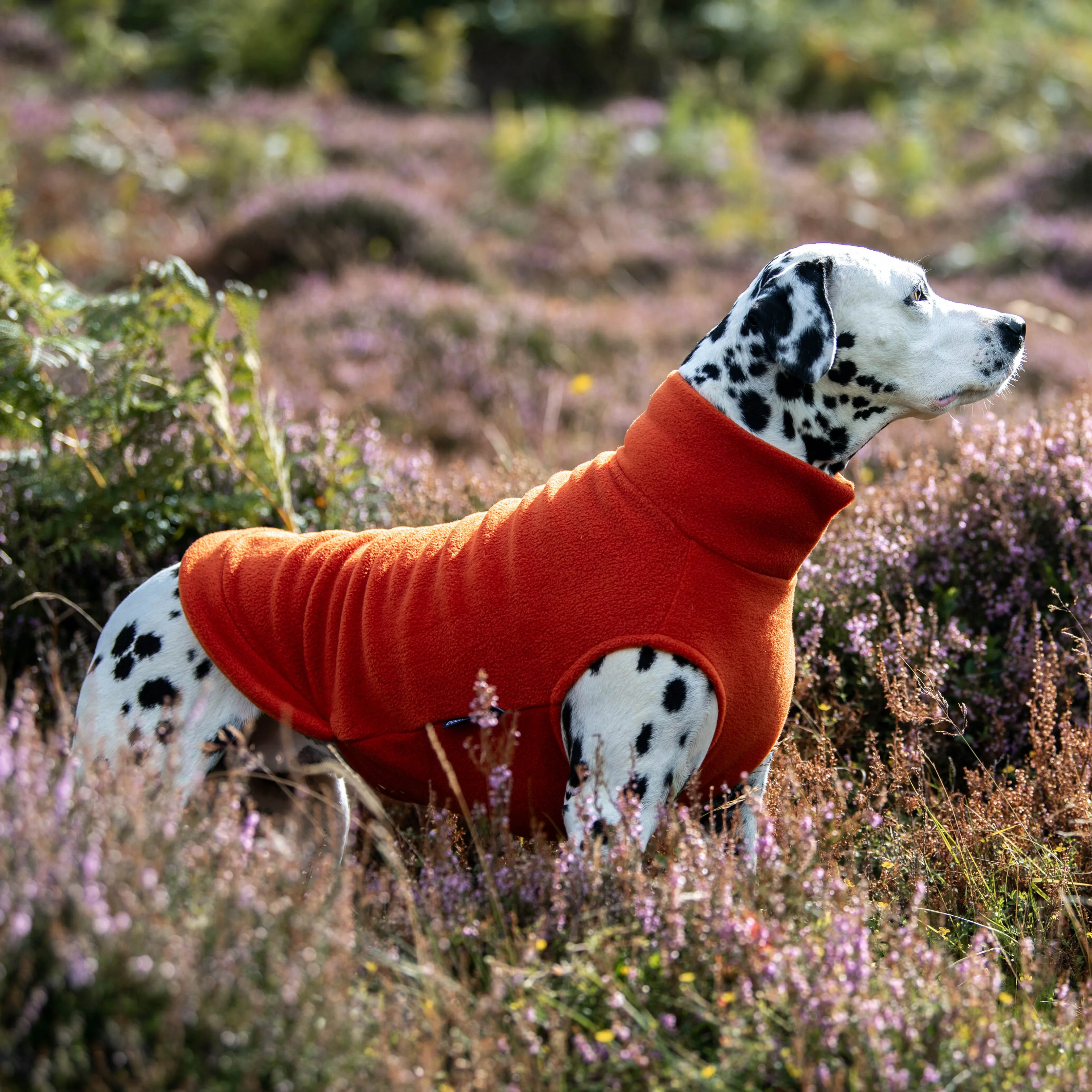 Extra Large Breed Dog Fleece Jumper