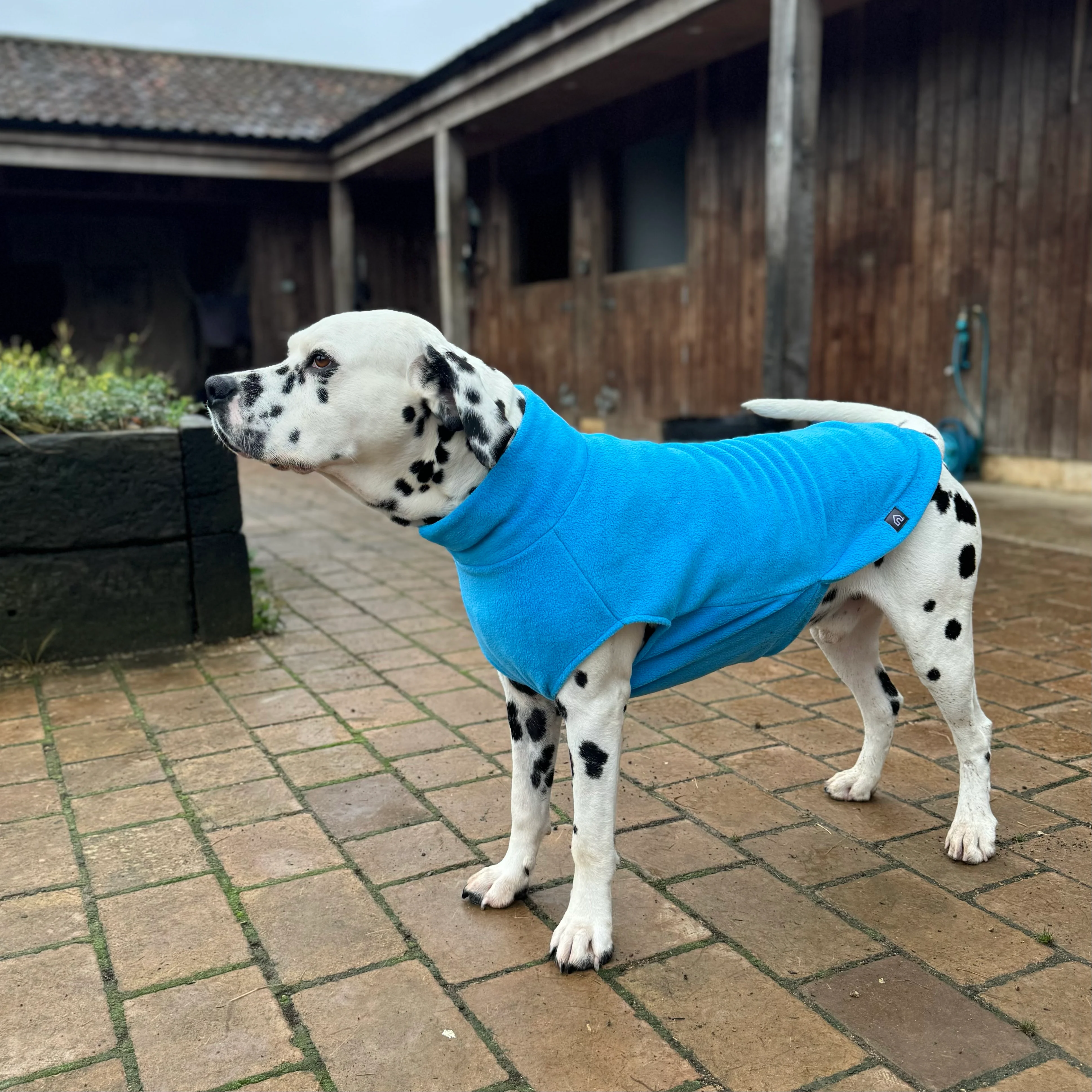 Extra Large Breed Dog Fleece Jumper - Image 10