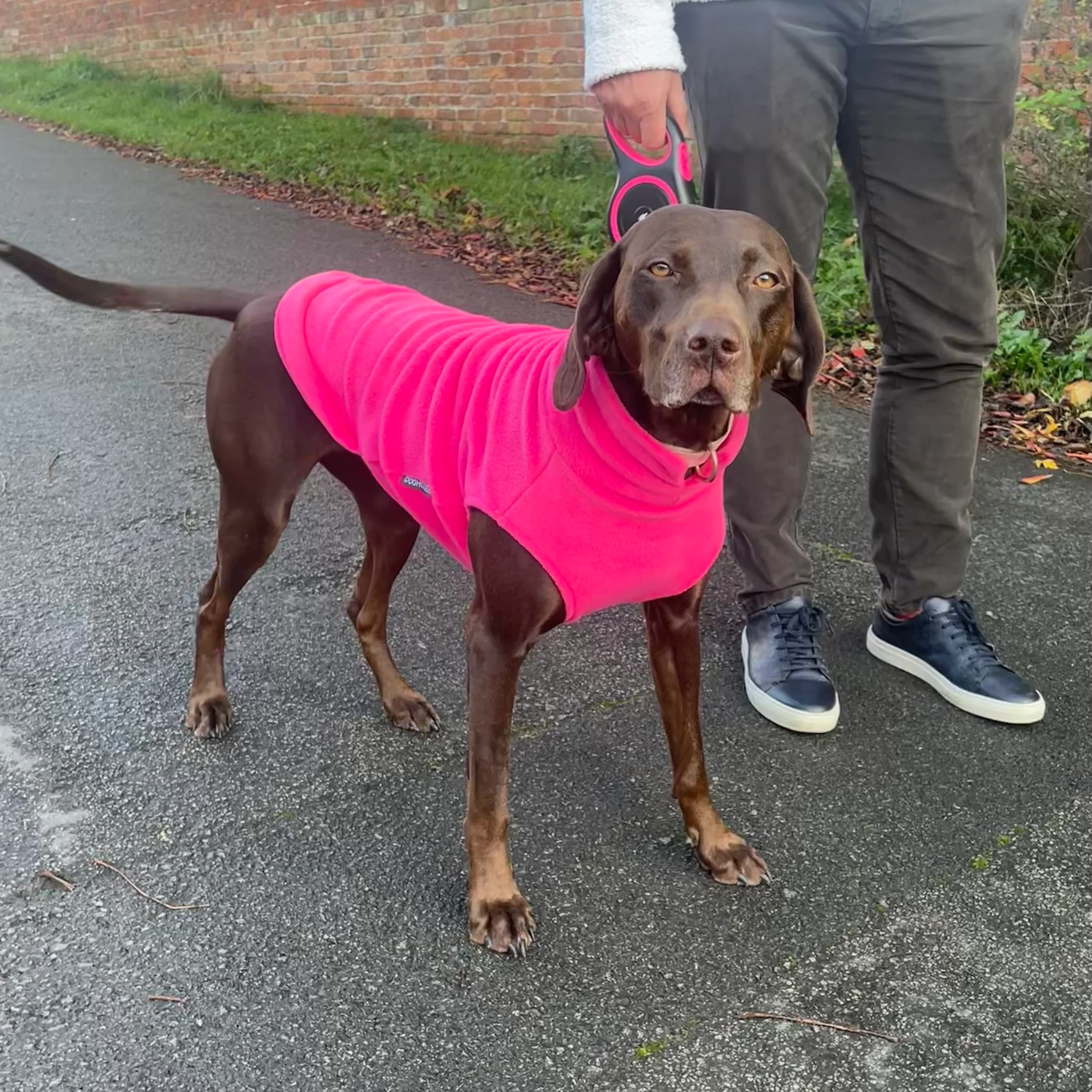 Extra Large Breed Dog Fleece Jumper - Image 11