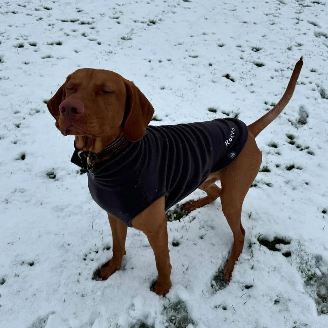 Extra Large Breed Dog Fleece Jumper - Image 16