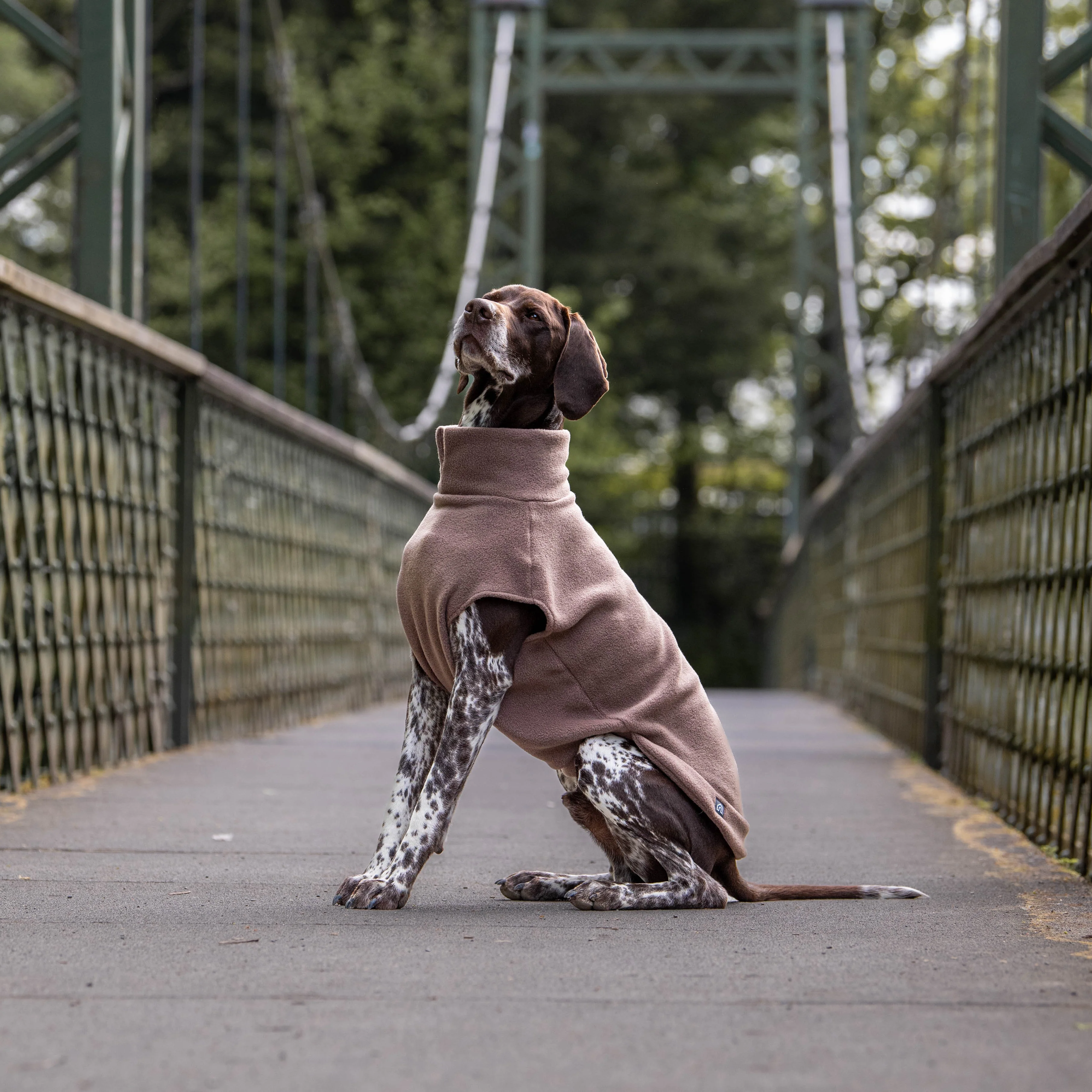 Extra Large Breed Dog Fleece Jumper - Image 5