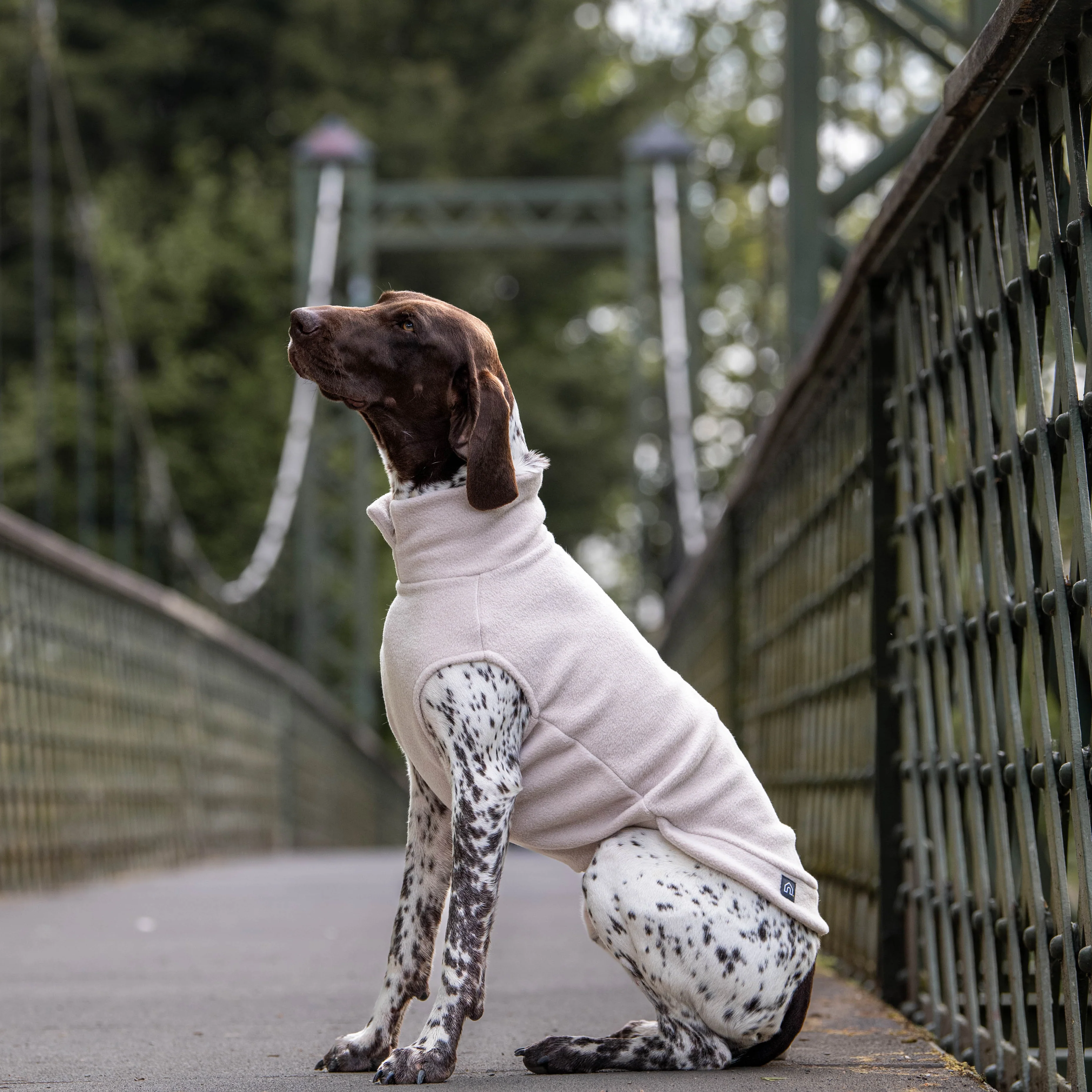 Extra Large Breed Dog Fleece Jumper - Image 6
