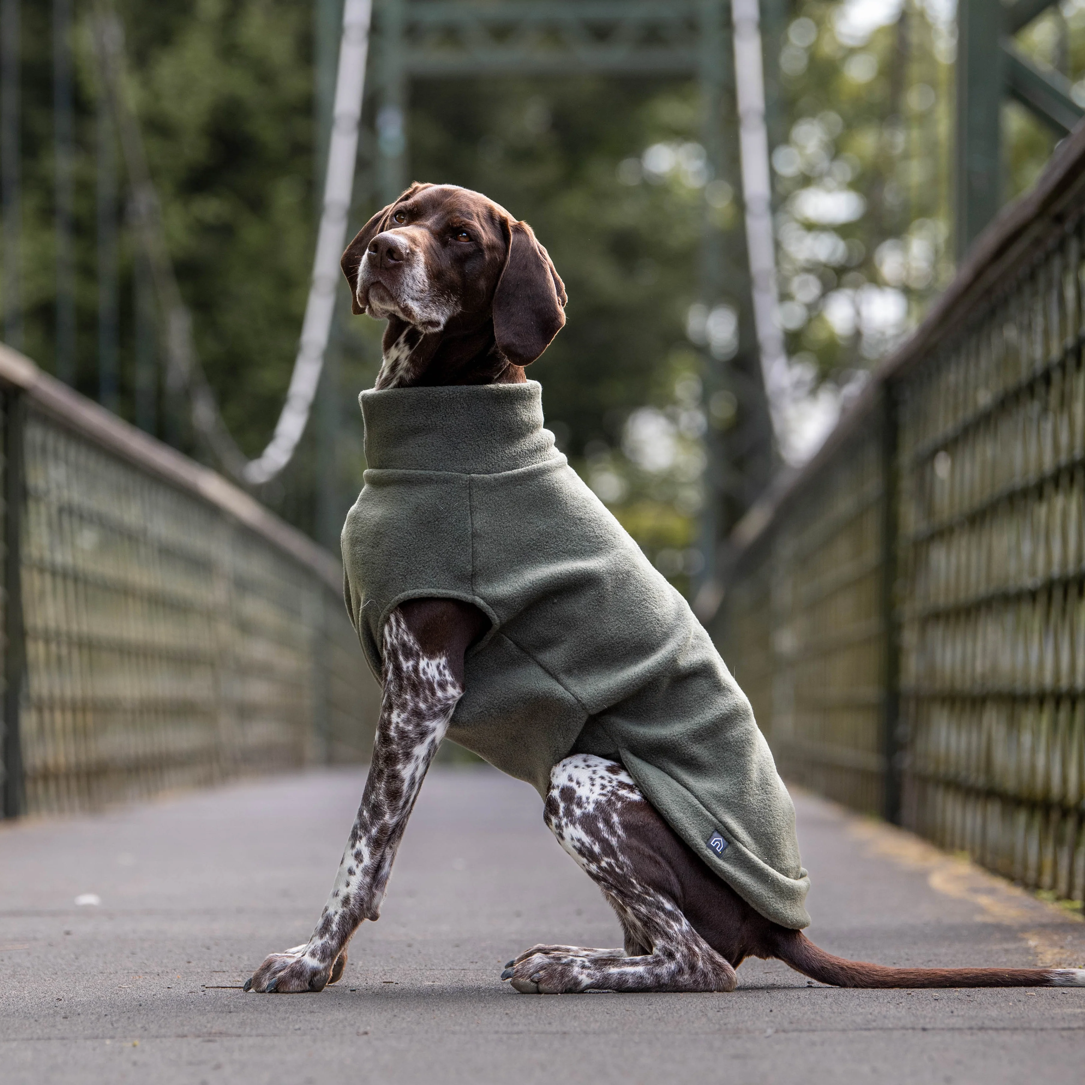 Extra Large Breed Dog Fleece Jumper - Image 7