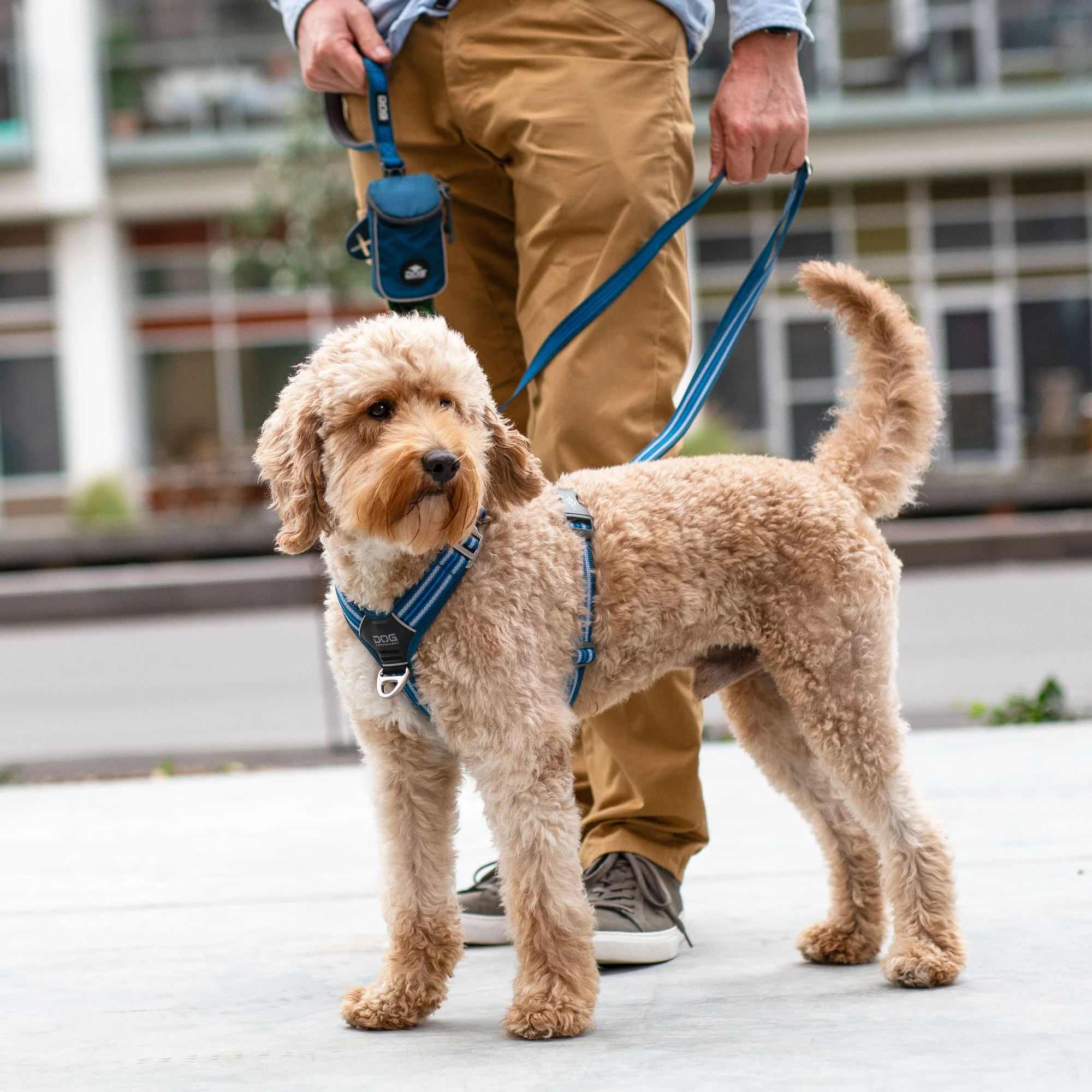 DOG Copenhagen Comfort Walk Air Harness - Image 10