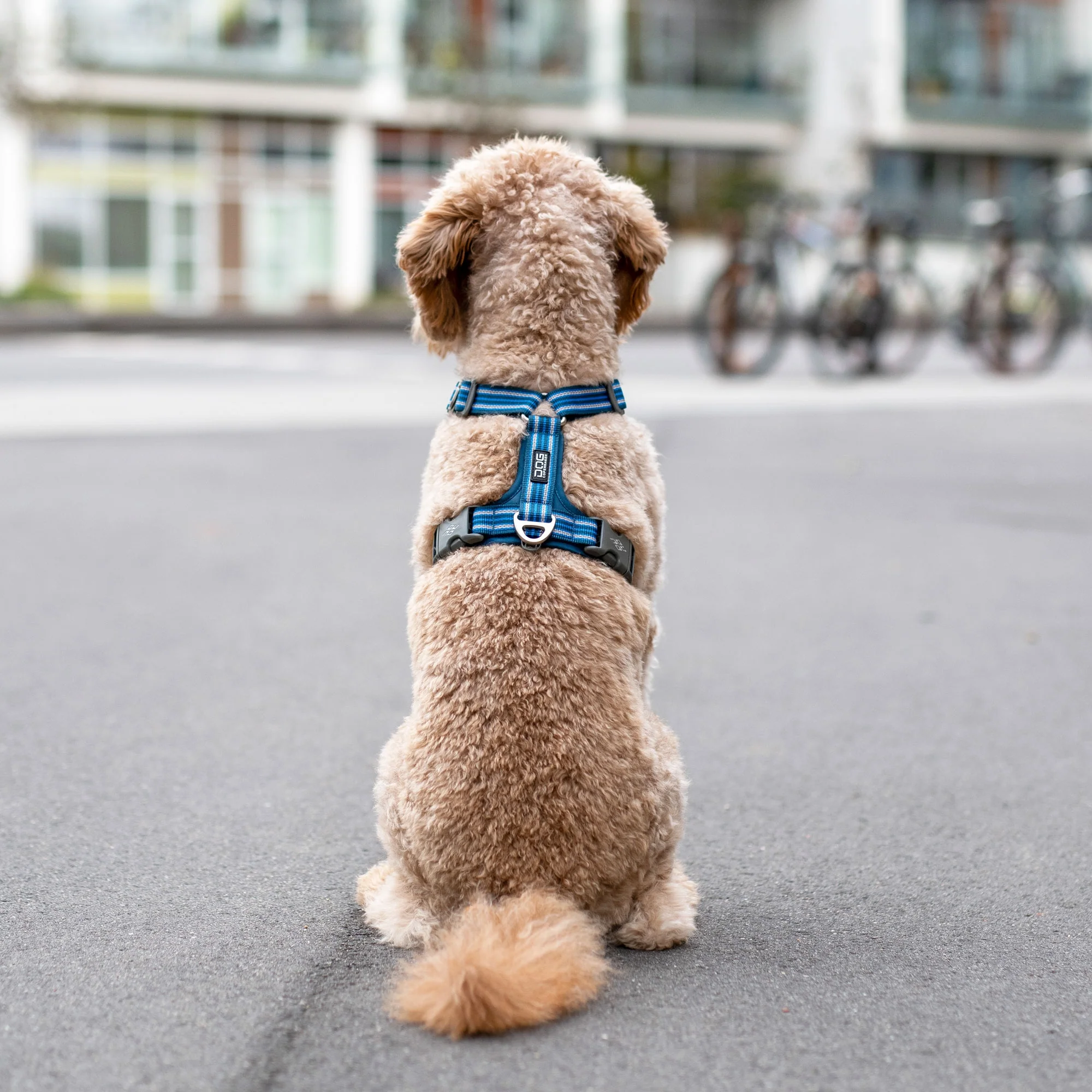 DOG Copenhagen Comfort Walk Air Harness - Image 11