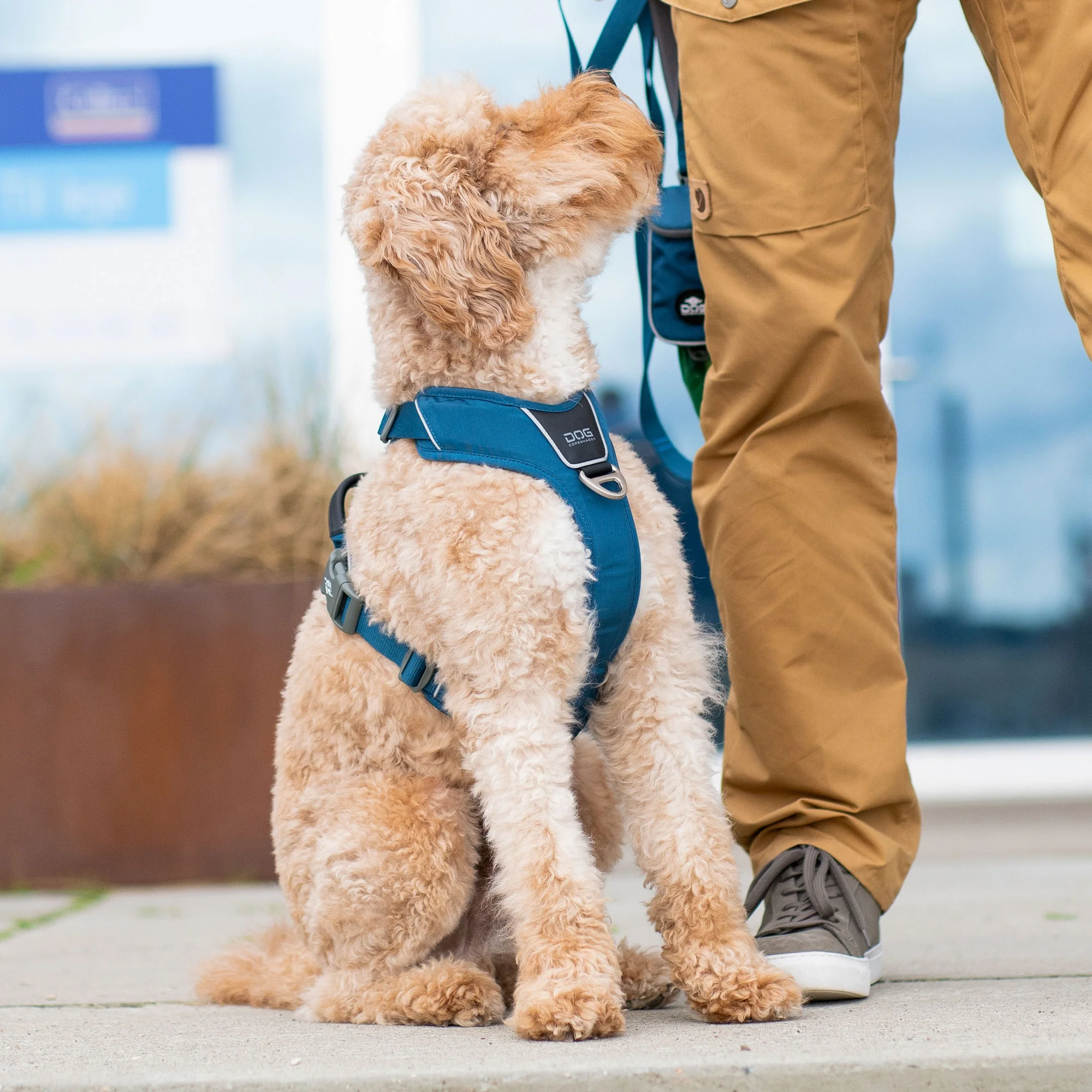 DOG Copenhagen Comfort Walk Pro Harness - Image 12