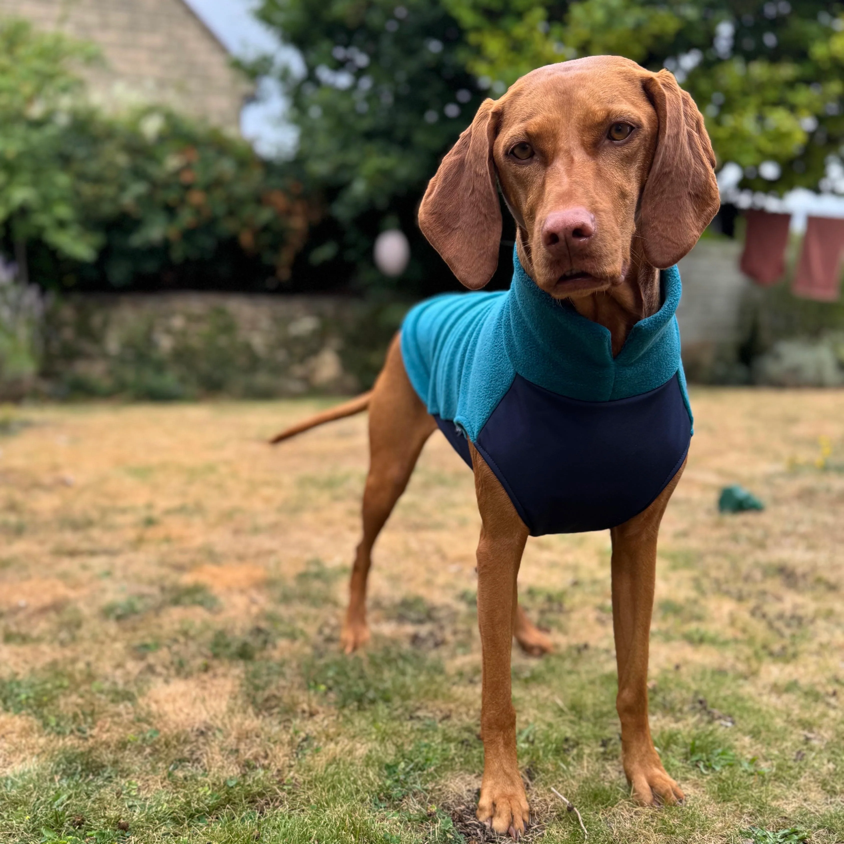 Dog Fleece Jumper with Waterproof Belly Panel - Image 2