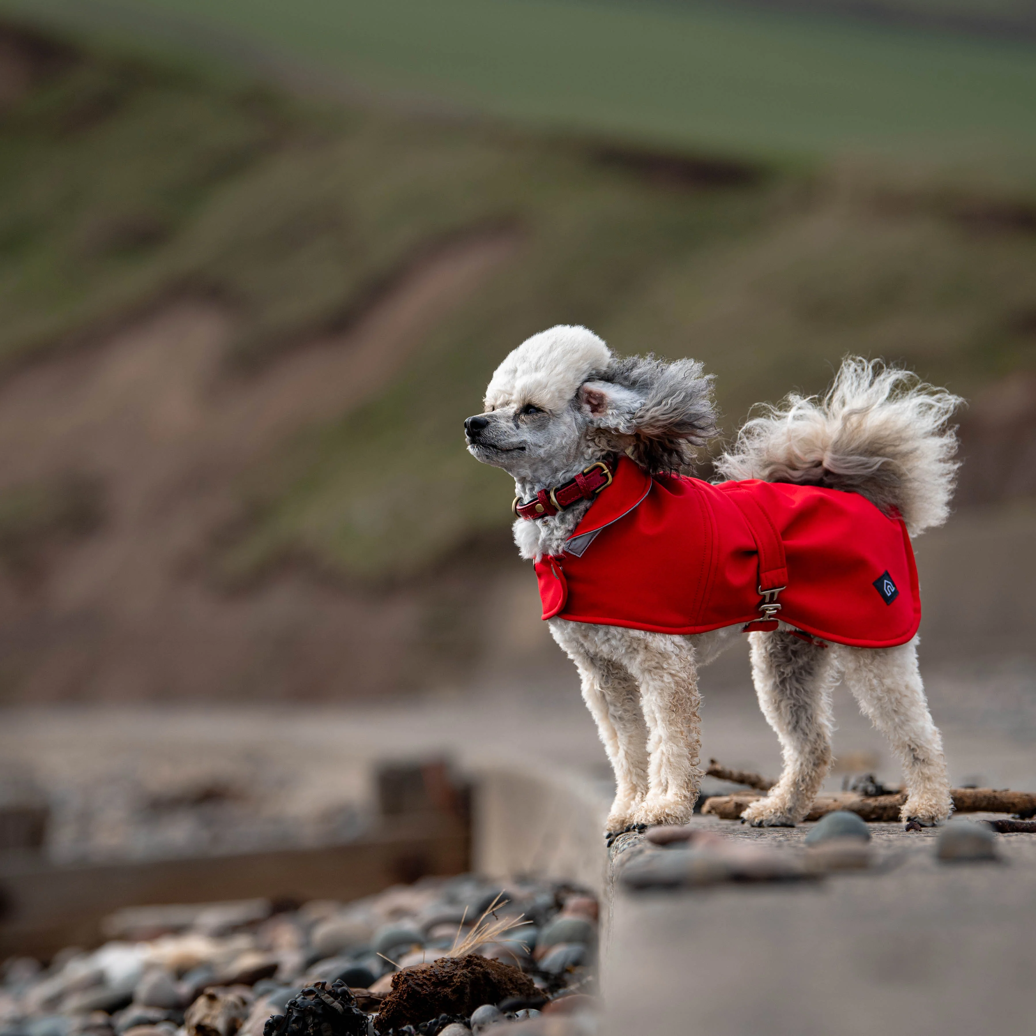Doghouse Waterproof Coat for Dogs