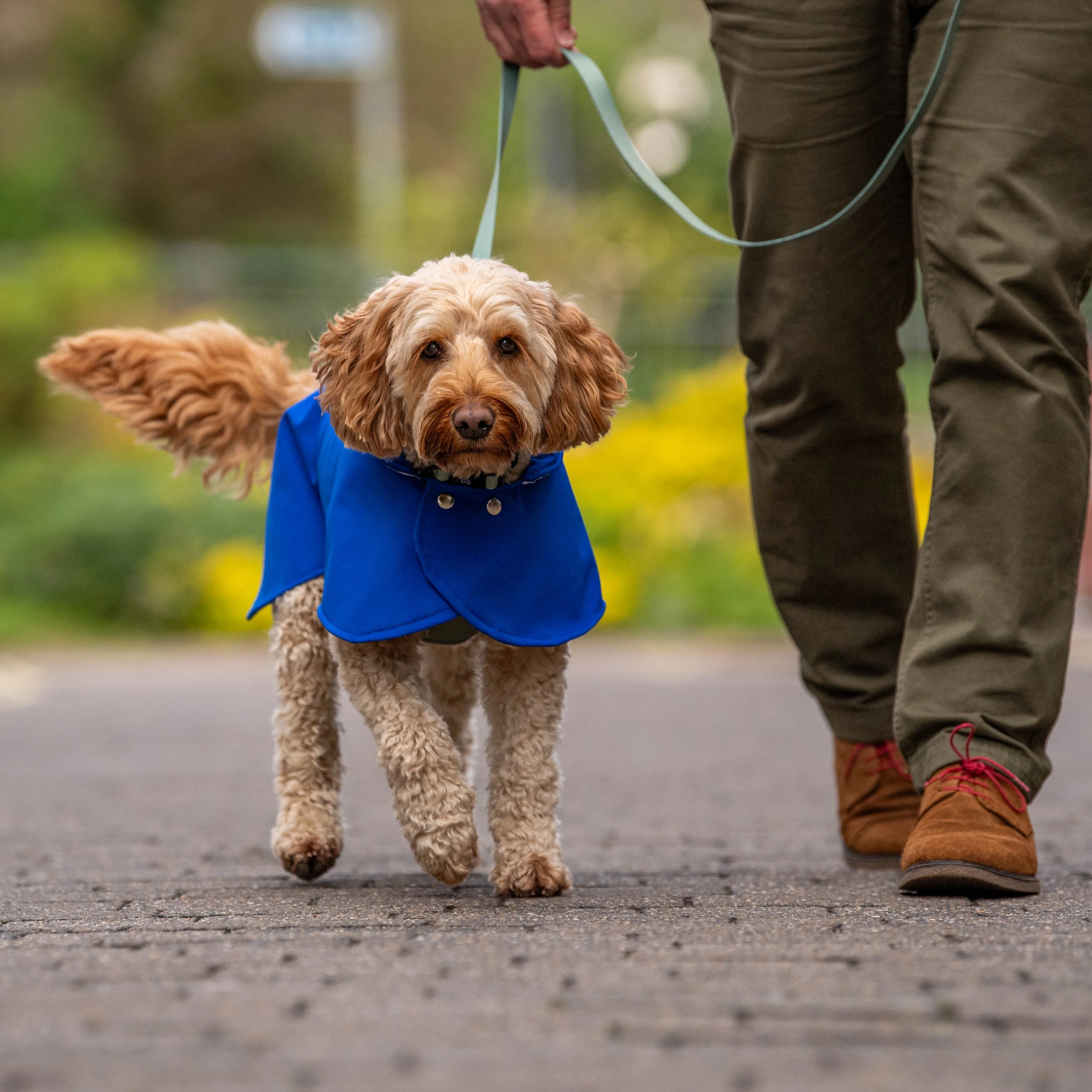 Doghouse Waterproof Coat for Dogs - Image 3