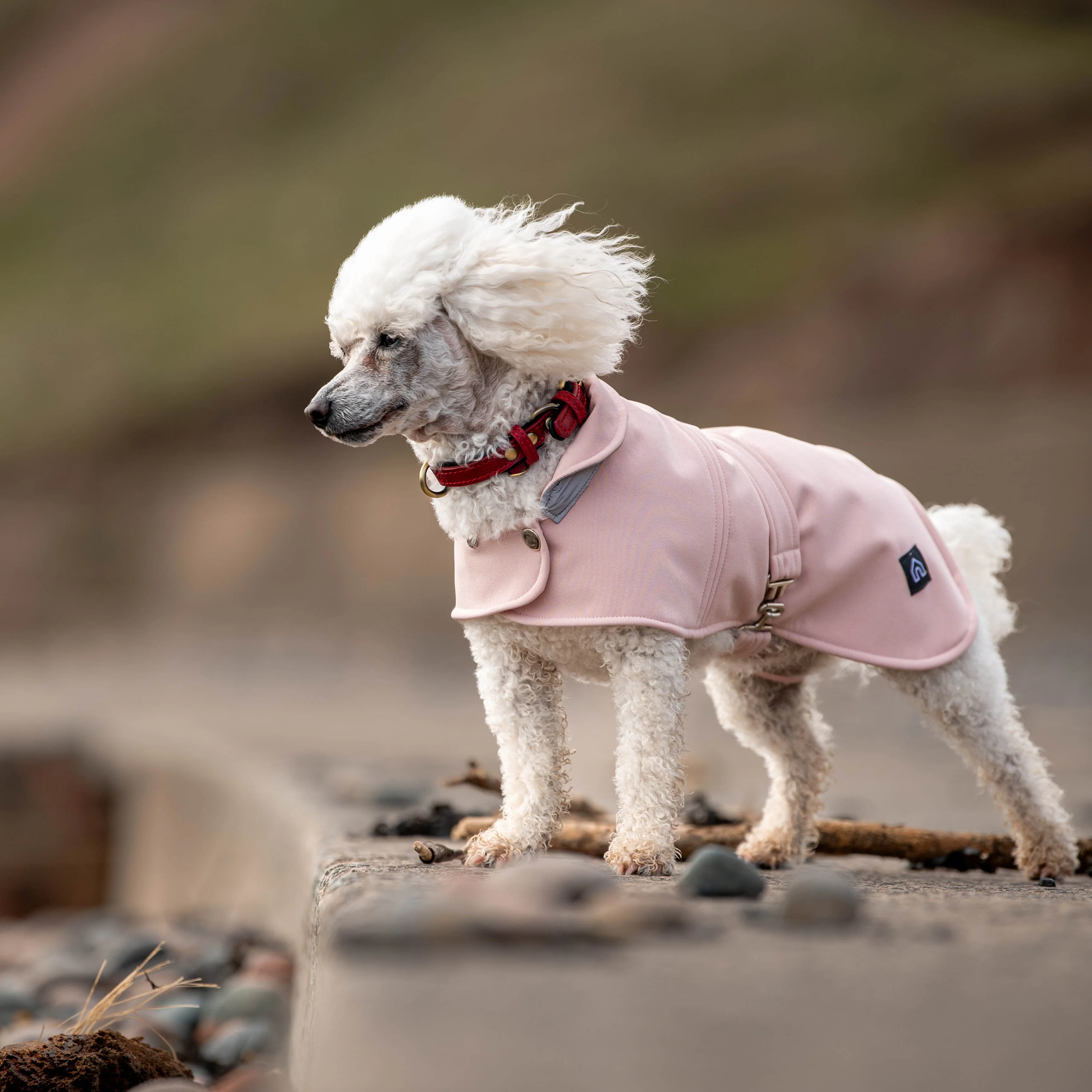 Doghouse Waterproof Coat for Dogs - Image 6