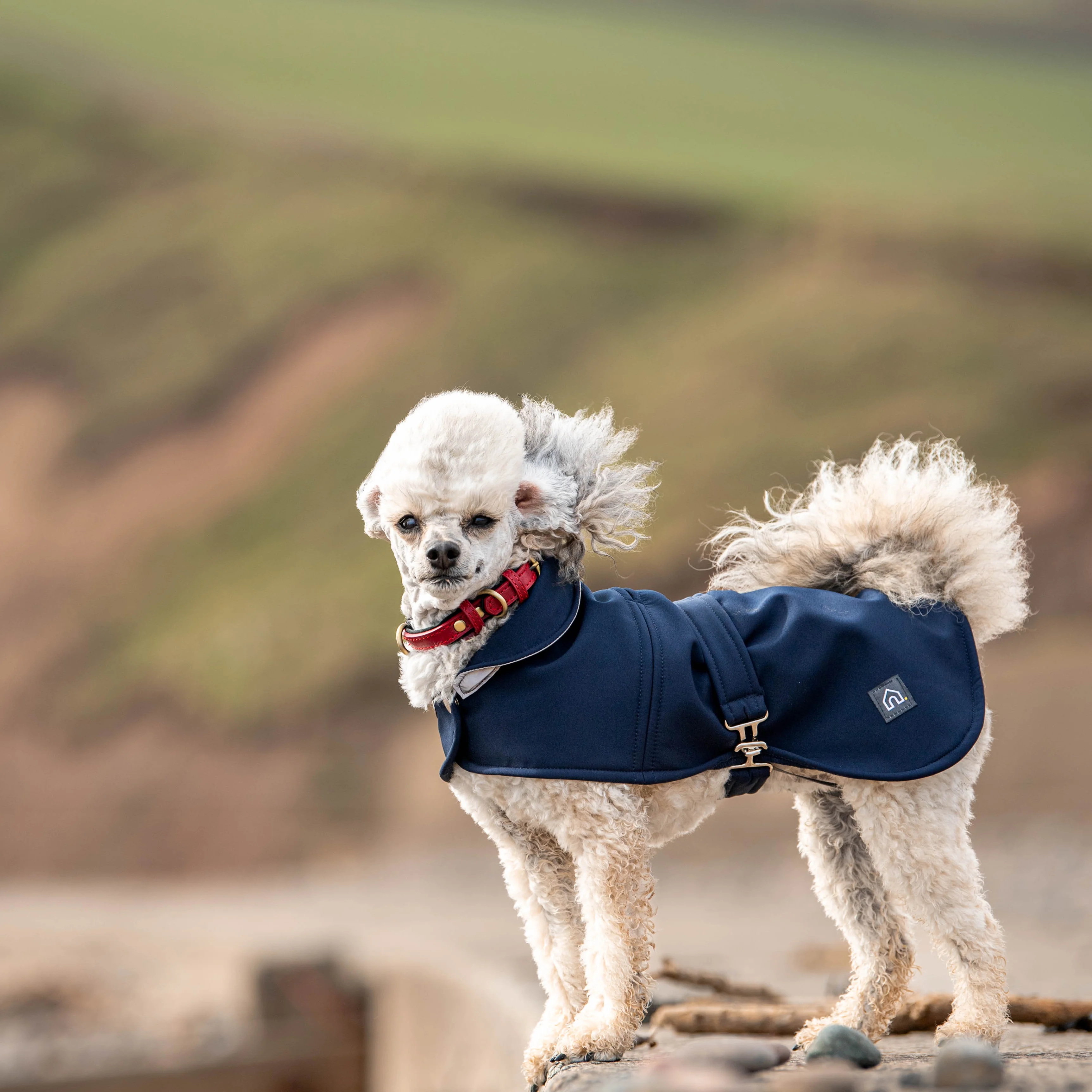 Doghouse Waterproof Coat for Dogs - Image 7