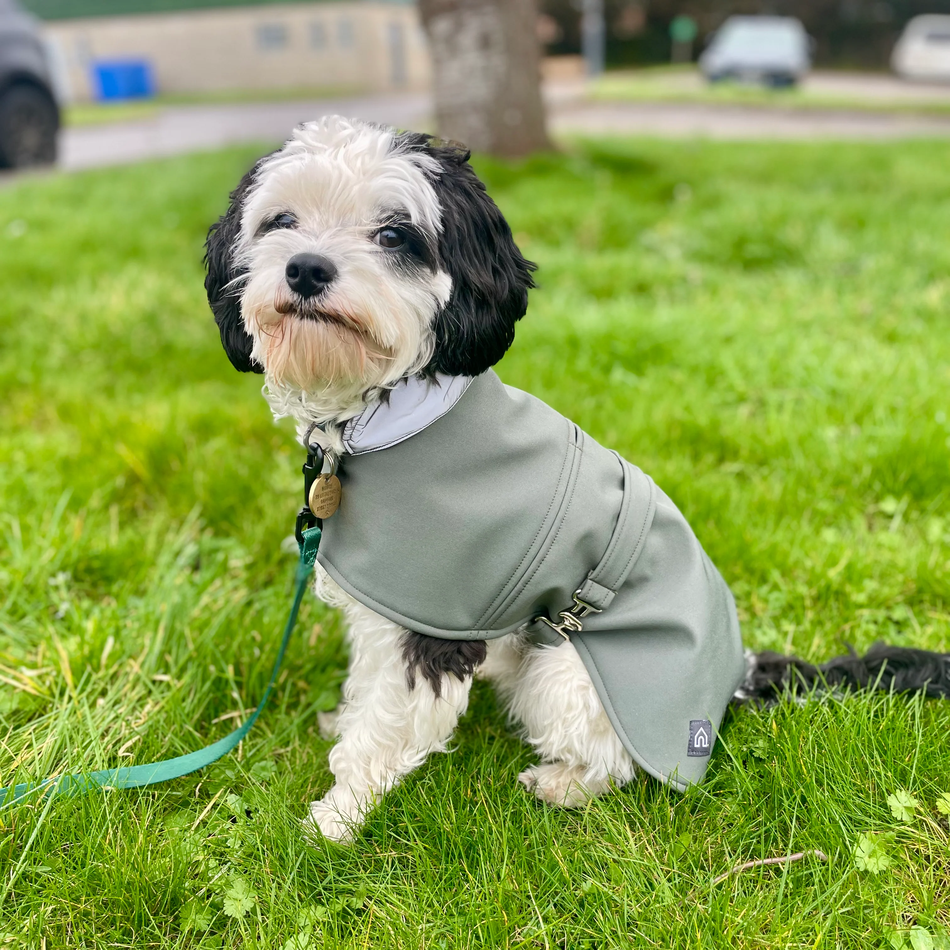 Doghouse Waterproof Coat for Dogs - Image 8