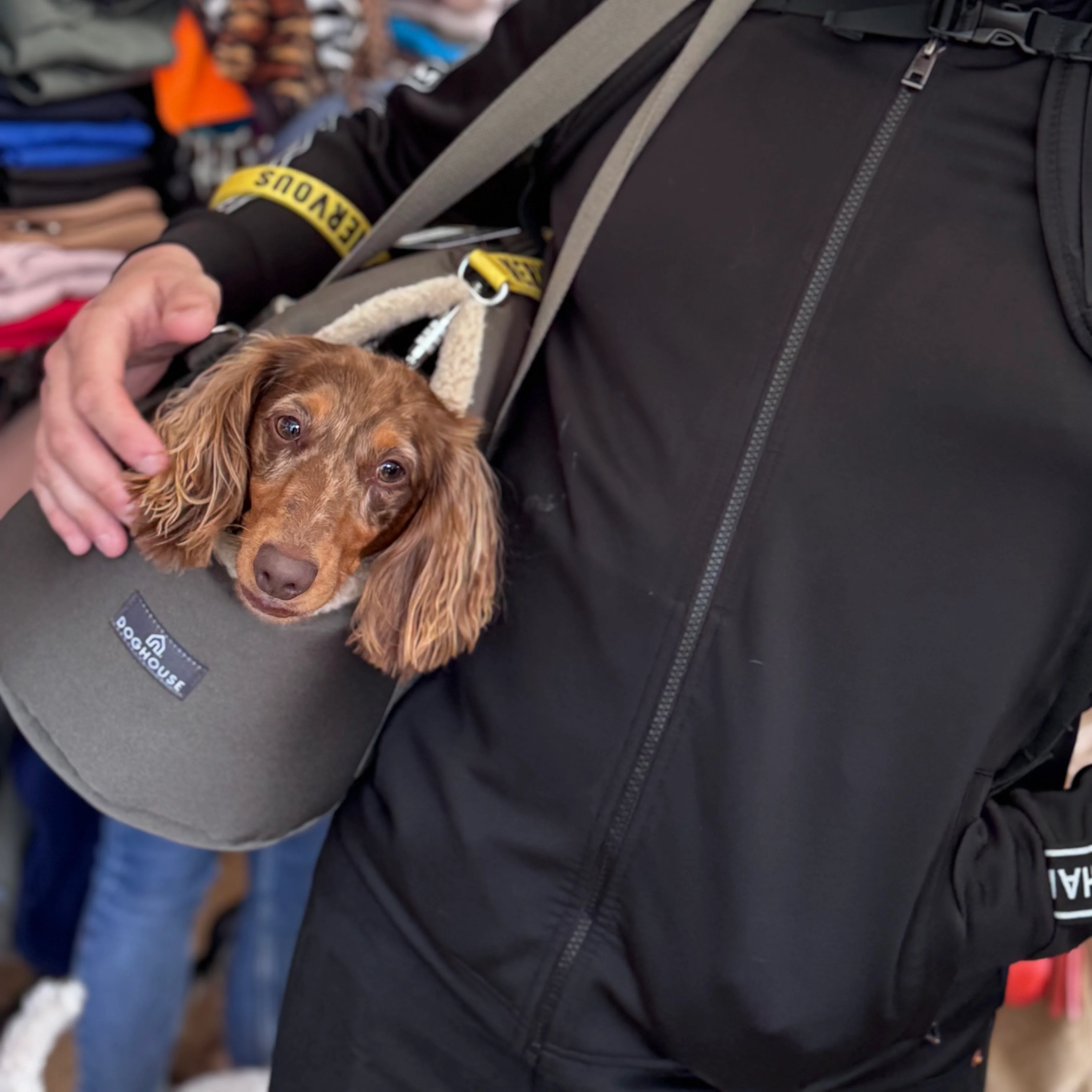 Doghouse British Made Luxury Dog Carrier - Image 15