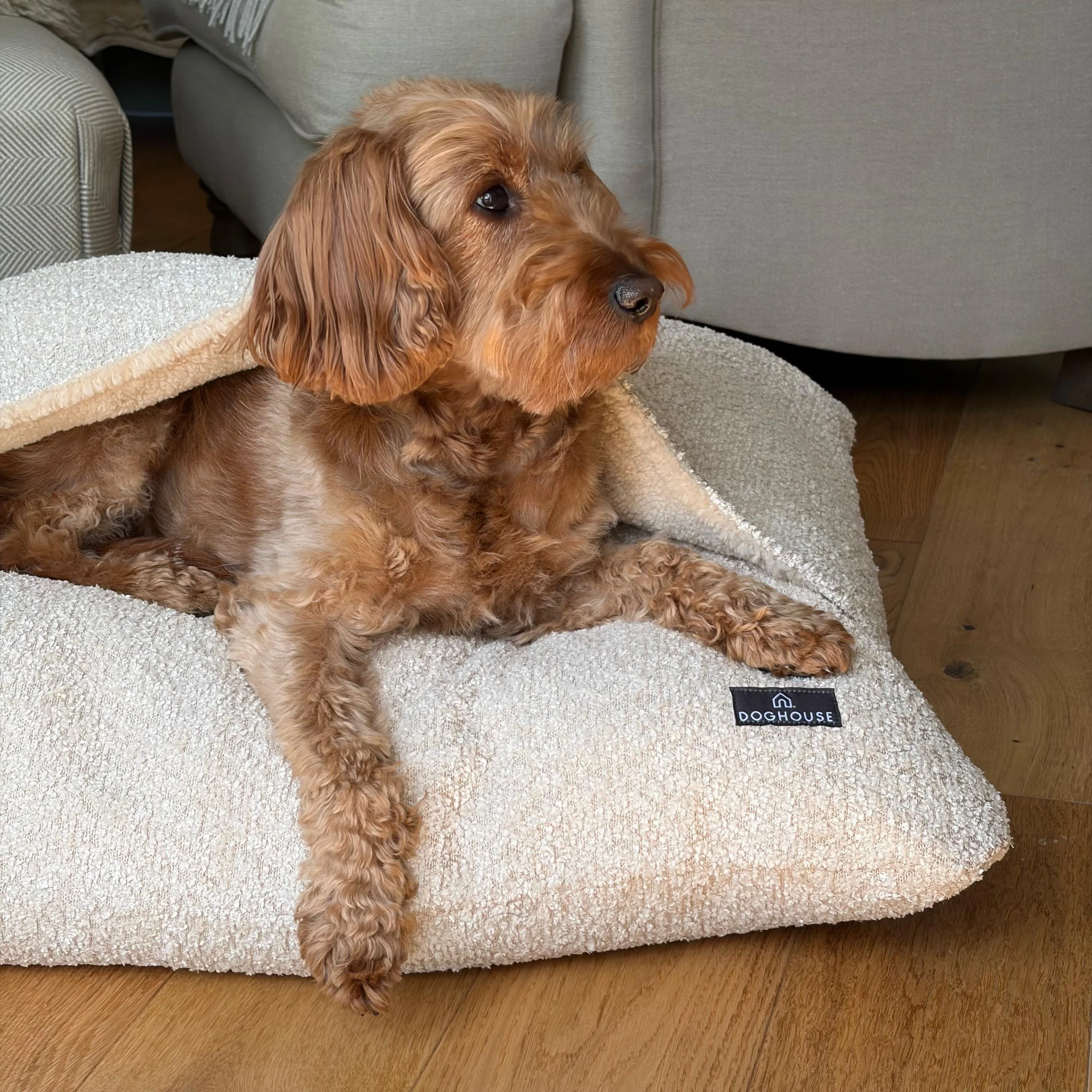 Doghouse Burrow Bed for Dogs - Image 4