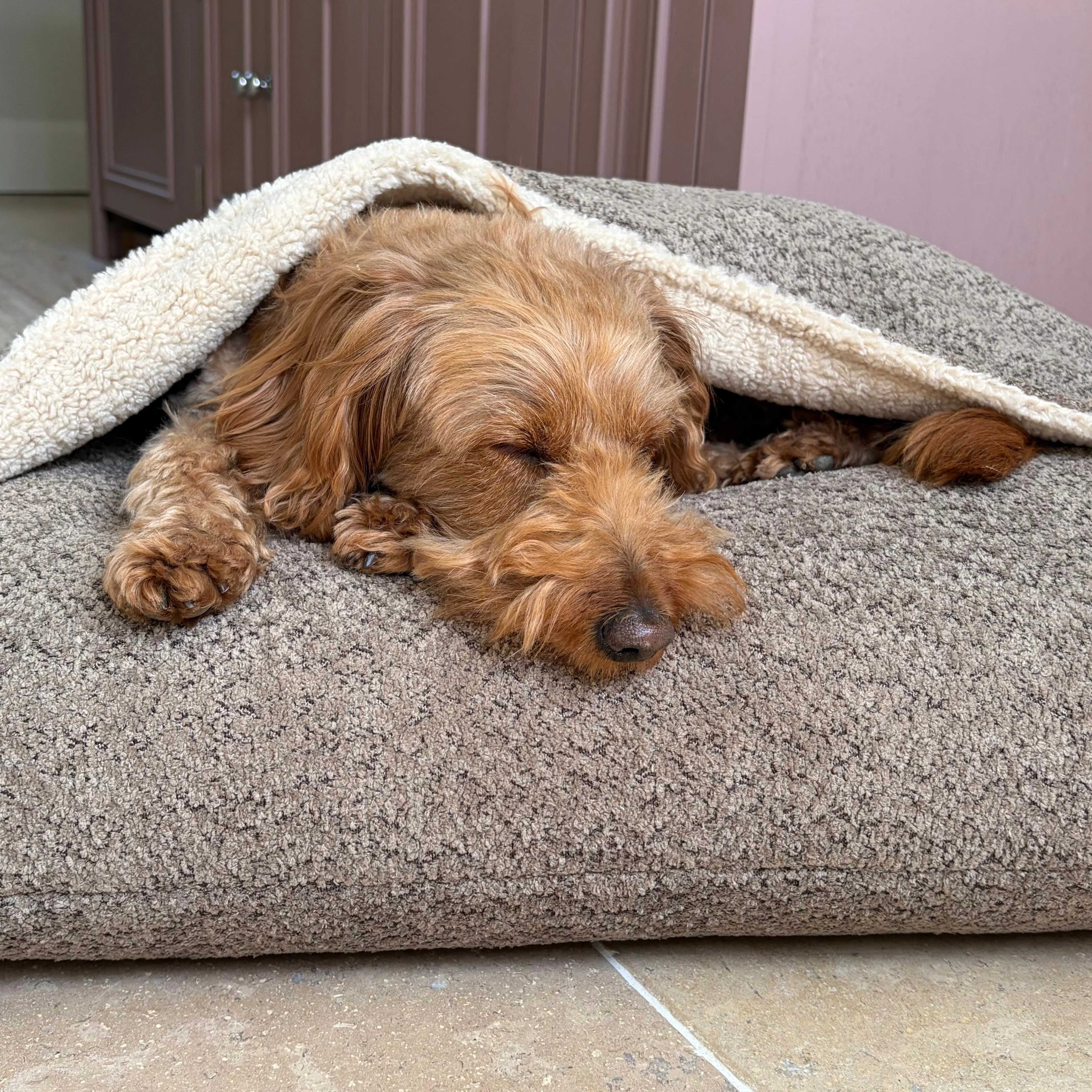 Doghouse Burrow Bed for Dogs - Image 5